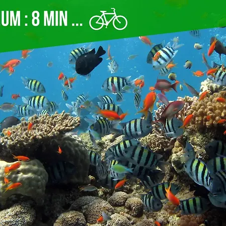 アパート L'abri Du Marin - - Proche Plage, Parking, Wifi