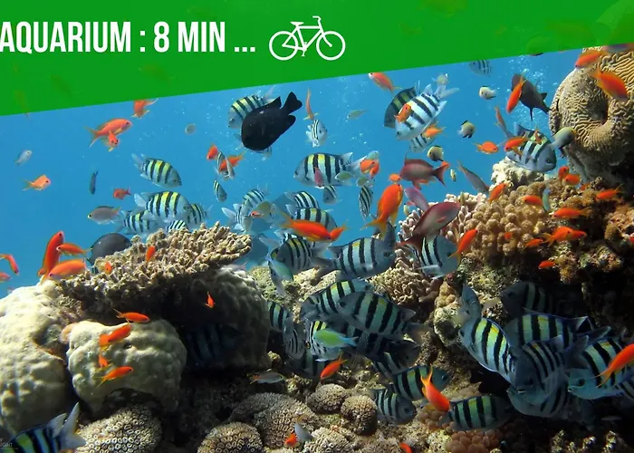 Appartamento L'abri Du Marin - - Proche Plage, Parking, Wifi